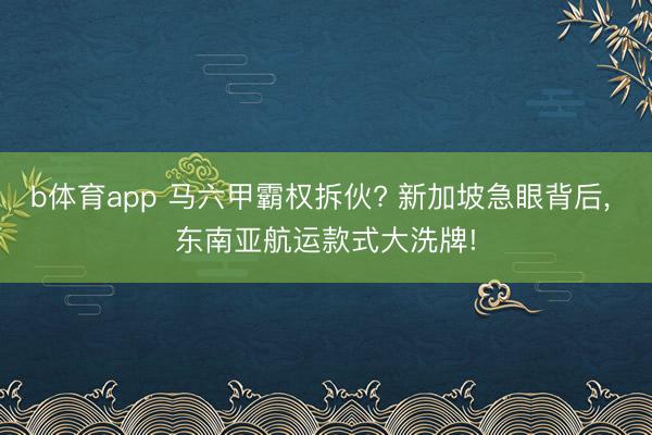 b体育app 马六甲霸权拆伙? 新加坡急眼背后, 东南亚航运款式大洗牌!