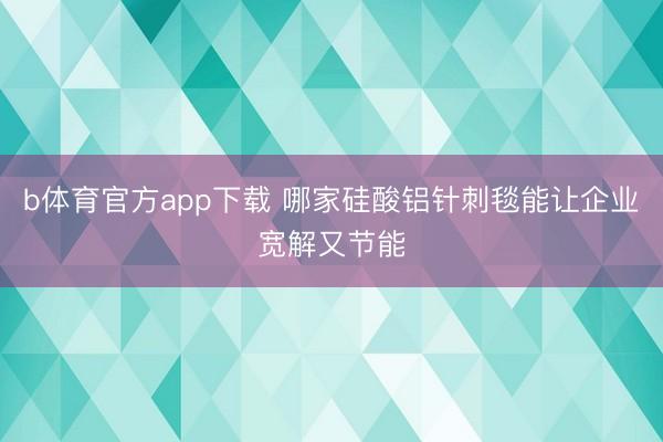 b体育官方app下载 哪家硅酸铝针刺毯能让企业宽解又节能