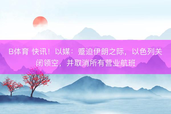 B体育 快讯！以媒：蹙迫伊朗之际，以色列关闭领空，并取消所有营业航班