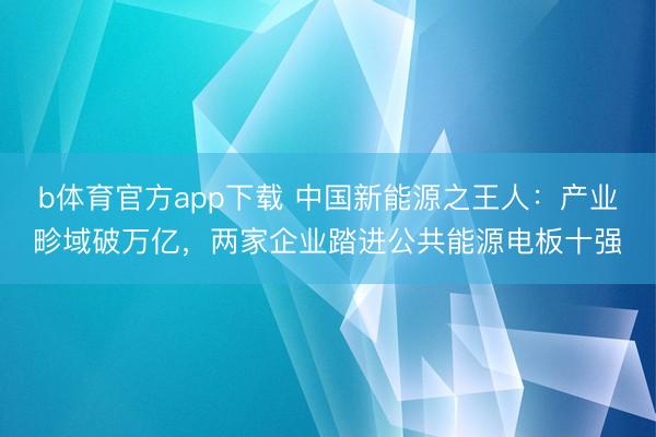 b体育官方app下载 中国新能源之王人：产业畛域破万亿，两家企业踏进公共能源电板十强
