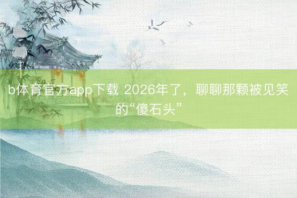 b体育官方app下载 2026年了，聊聊那颗被见笑的“傻石头”