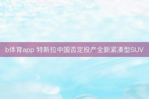 b体育app 特斯拉中国否定投产全新紧凑型SUV