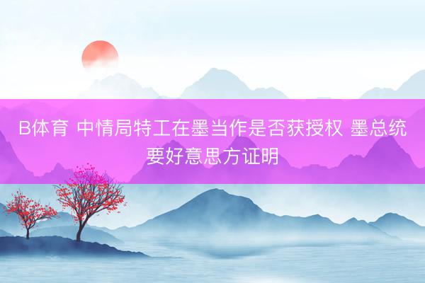 B体育 中情局特工在墨当作是否获授权 墨总统要好意思方证明