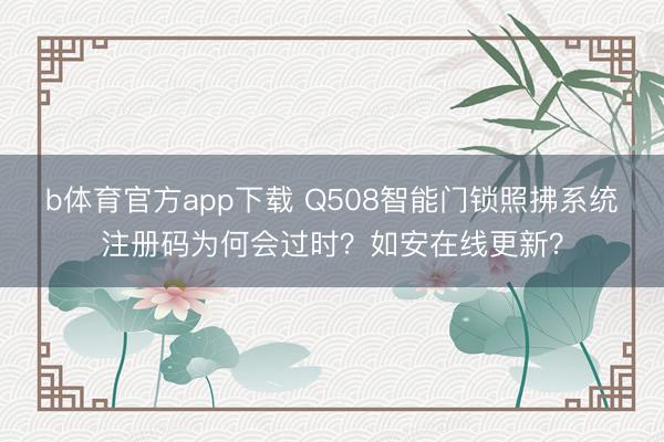 b体育官方app下载 Q508智能门锁照拂系统注册码为何会过时？如安在线更新？