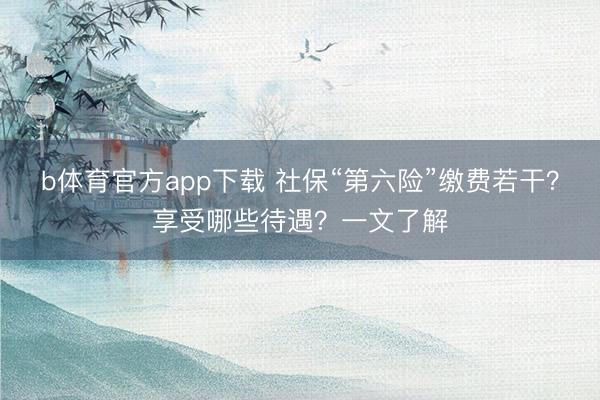 b体育官方app下载 社保“第六险”缴费若干？享受哪些待遇？一文了解