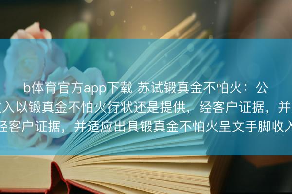 b体育官方app下载 苏试锻真金不怕火：公司锻真金不怕火行状收入以锻真金不怕火行状还是提供，经客户证据，并适应出具锻真金不怕火呈文手脚收入证据时点