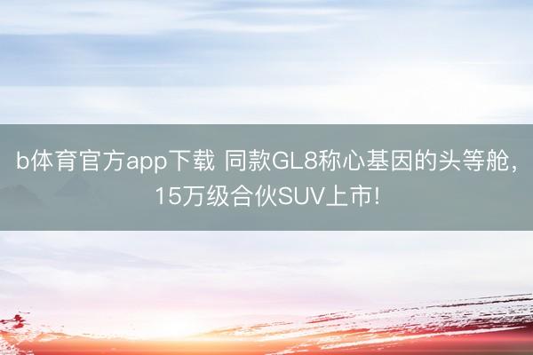 b体育官方app下载 同款GL8称心基因的头等舱，15万级合伙SUV上市!